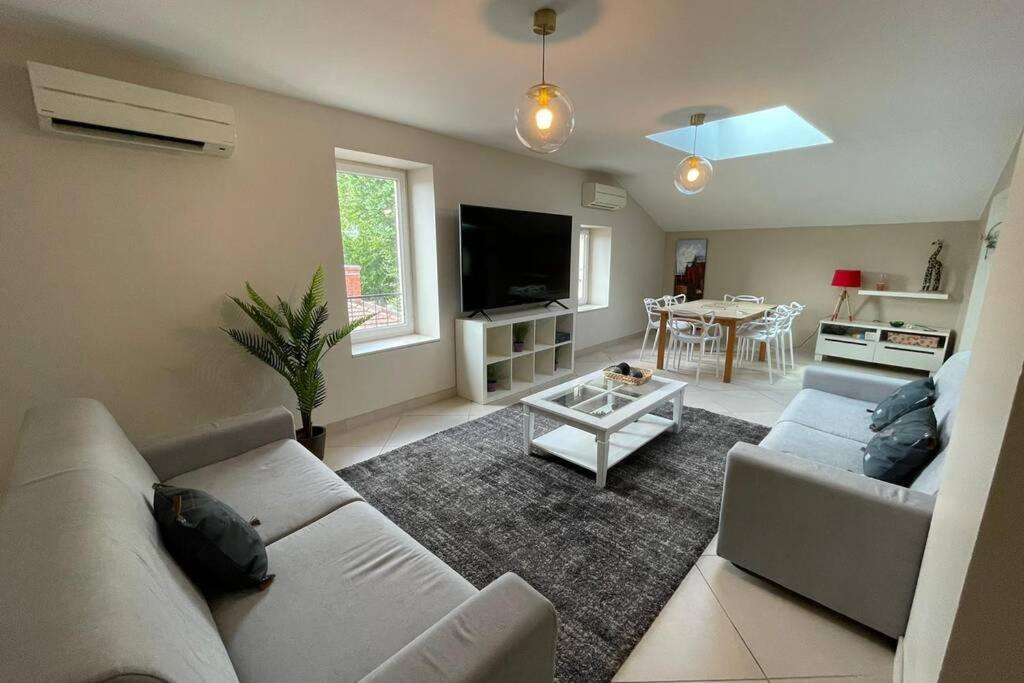 טורנון-סור-רון Superbe Appartement Avec 2 Chambres - 9 Personnes - Parking Prive מראה חיצוני תמונה